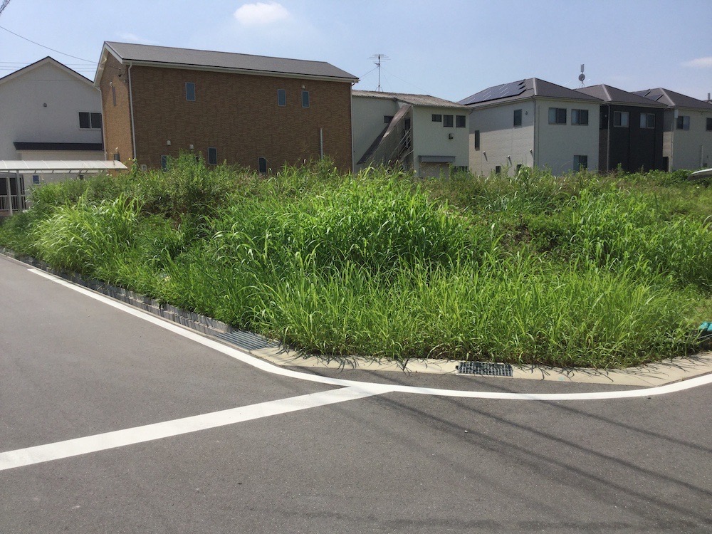 一戸建ての雑草対策はどんな種類があるかまとめました 愛知県 名古屋市 愛知県 名古屋市で満足度の高い人工芝 人気のウッドデッキを取り入れたお庭 をご提案中