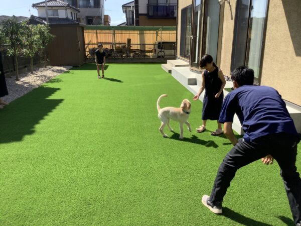 広い人工芝の庭で犬と遊ぶ家族A family playing with a dog in a large artificial grass garden