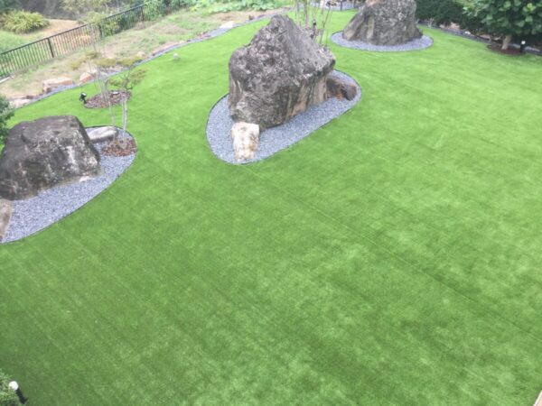 Garden with artificial turf in the first year of construction